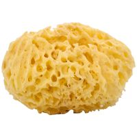 Woman-Kind Natural Honey Comb Bath Sponge, Large